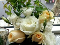 -蝶舍·MAISON PAPILLON