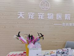 -天宠宠物医院24小时·急重症诊疗中心·全科·腔镜特色(和平分院)