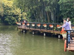 -月亮湾公园