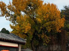 -千佛山风景名胜区