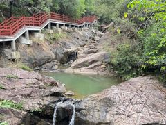 -广州白江湖森林公园