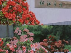 -上海方塔园