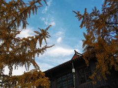 -四川大学(华西校区)