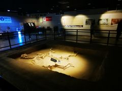 -洛阳周王城天子驾六博物馆