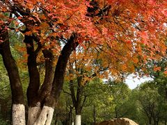 -艾溪湖湿地公园