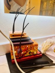 -密发堂乌发养发馆