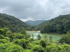 -世间香境·七溪地