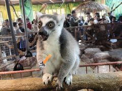 -海合安武汉极地海洋公园