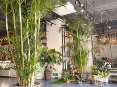 -开间茶馆·围炉煮茶