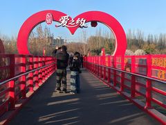 -阿尔丁植物园
