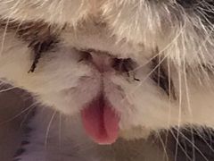 -平行世界·猫咖(首经贸店)