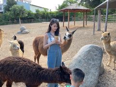 -泉州海丝野生动物世界