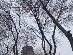 -天宁寺