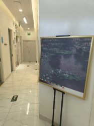 -欧扬医疗美容