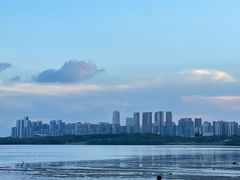 -深圳湾公园(南山区)