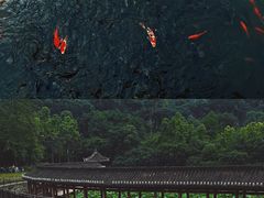-龙头寺公园