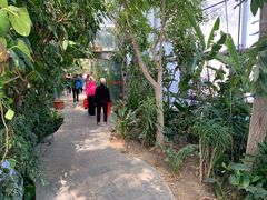 -北京植物园-展览温室