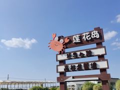 -莲花岛景区