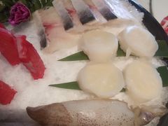 -汤城·料青山
