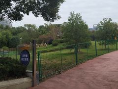 -北外滩滨江绿地