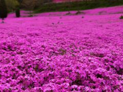 -昆嵛山石门里景区