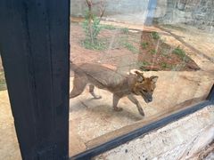-昆明动物园