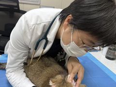 -美联众合爱康动物医院•复杂内科•肿瘤科•牙科•腔镜诊疗中心