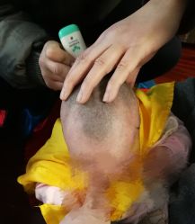 点击看大图 -龙文宝贝上门婴儿理发满月剃胎毛(总店)