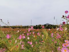 -西海岸生态观光园