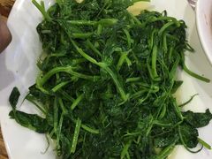 炒豌豆尖-雨田饭店(华兴东街店)