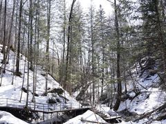 -峡谷浮石林景区