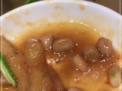 -南枝记