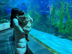 -芜湖新华联大白鲸海洋公园