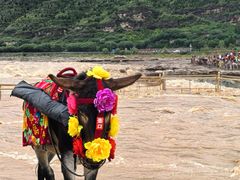 -陕西黄河壶口瀑布旅游区