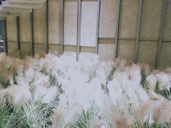 -文三里屯面馆(三里屯店)
