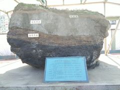 -抚顺煤矿博物馆