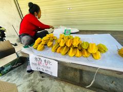 -西双版纳傣族园