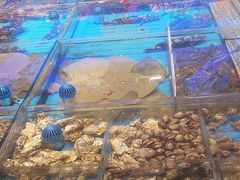 -鑫复盛皇嘉海鲜酒店