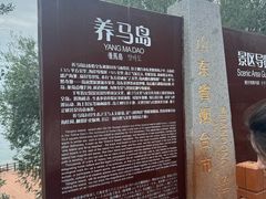 -养马岛旅游度假区