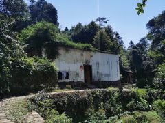 -杨家堂村