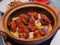 -望乡楼上海菜(日月光店)