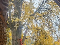 -金堂县云顶石城风景区