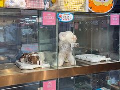 -FAELING PETS美天灵宠物(富力广场店)