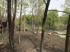 -溱湖国家湿地公园