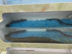 -潮信鱼头王(西环店)