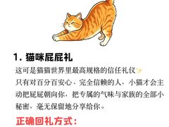 -瑞鹏宠物医院·骨外科·心肾科·肿瘤科(九亭店)