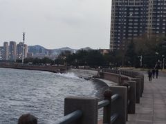 -悦海公园