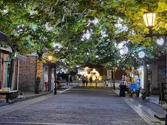 -四川省成都市彭州市白鹿镇