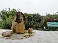 -鹤之洲湿地公园