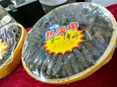 -沈阳国际会展中心管理有限公司